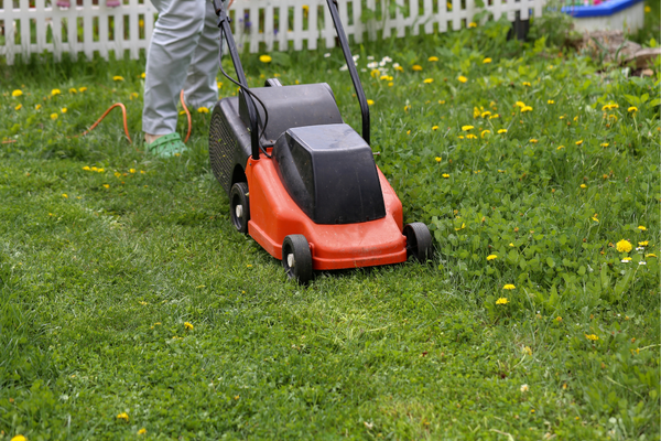 Expert Lawn Mowing in Noosa: The Complete Homeowner’s Guide
