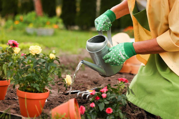 Gardening Services Cost Guide for Noosa Heads Homeowners