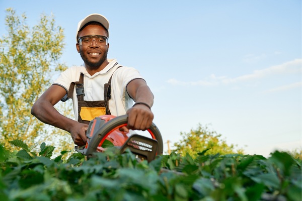 Top 10 Benefits of Professional Gardening Services for Noosa Heads Homeowners